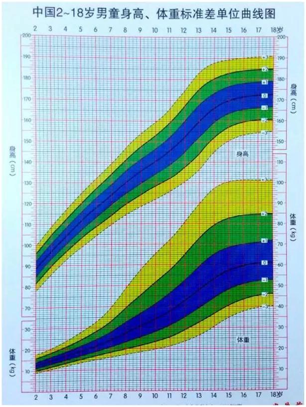 睡眠体育减肥遗传|父母都矮，孩子能长高吗？儿科医生：抓住长高黄金期，个子长得快
