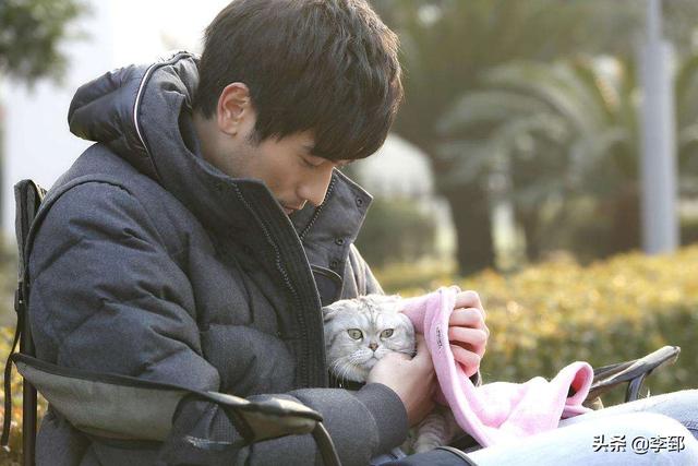 焦俊艳与白百何的“小妞片”之战|电影工厂