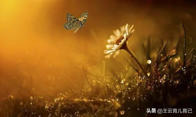 你的育儿经▲我的小周老师，他的自信心每天变强大一点点