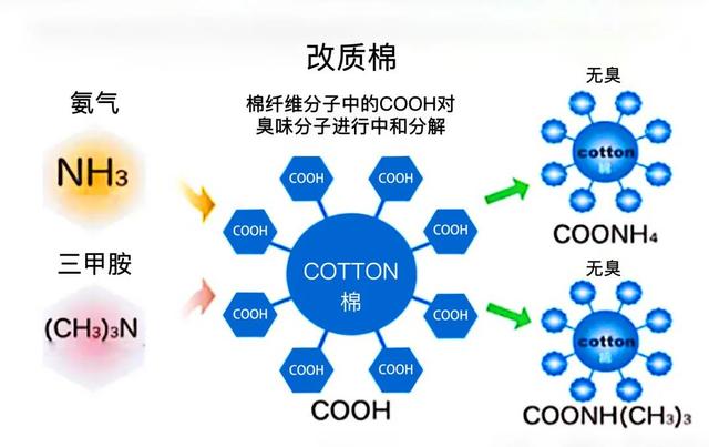 日本改质棉，分解臭味来源，洗100次，消臭效果不减，穿它