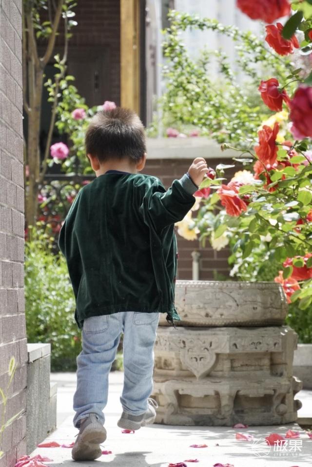 勇哥科技■宝妈爱不释手的神级清洁机，去污除菌一次搞定，小孩再皮也难不倒