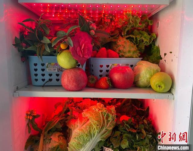 农药|广东普宁果蔬“活养箱”面世“黑科技”保鲜果蔬