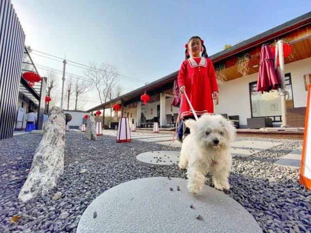 餐厅|青年白领干饭排行榜揭晓！“沪乡年味”最后一站：新丰村