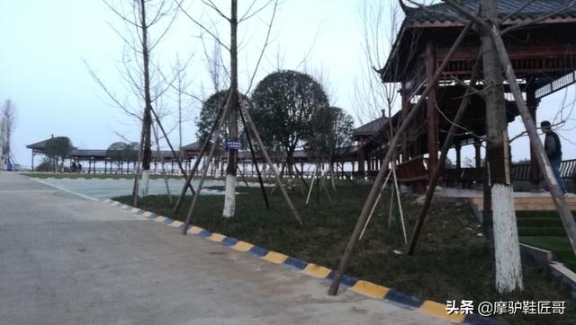 玩乐足迹@今天的达州中华银杏谷天鹰寨山顶变样了