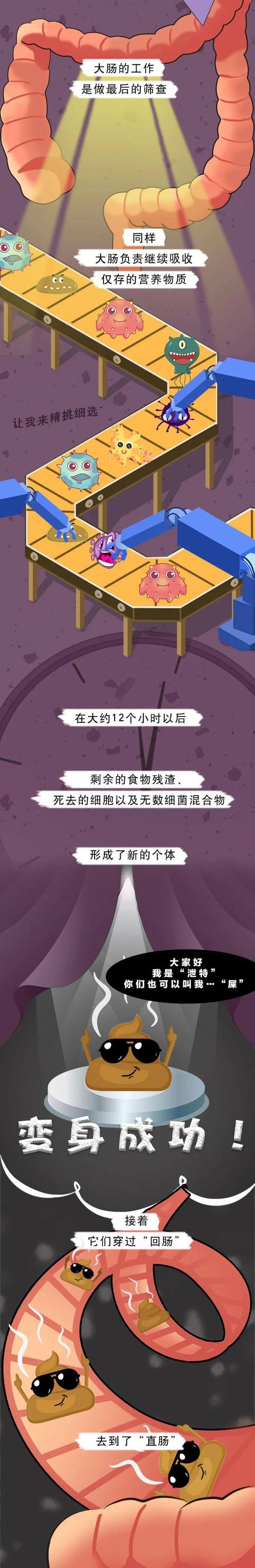 食物|吃下去的食物是如何变成屎的？对不起，又来科普奇怪的知识了