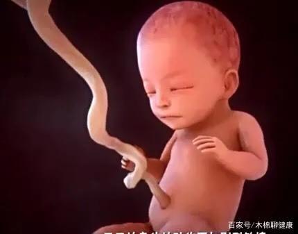 超级宝妈|朋友怀孕了，听说补充DHA会生个聪明的宝宝，向我咨询如何补