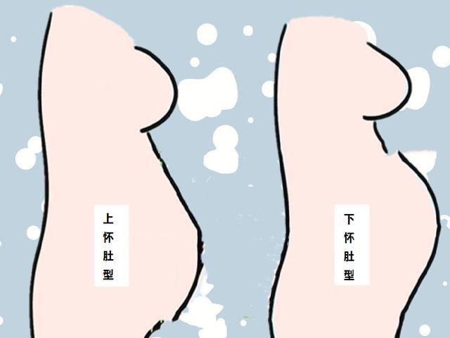 你的育儿经|孕妇肚子是“上怀”好还是“下怀”好？有什么区别？看这篇就够了