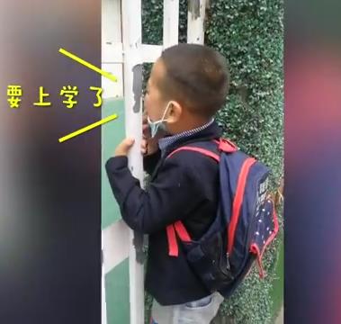 超级宝妈■“老师！开门！我要上学！”5岁萌娃赖幼儿园门口求上学，眼神亮了