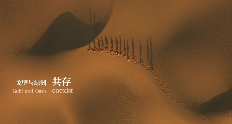 「文字上的青年」8部国产纪录片，让孩子深深认识到中国有多美！适合假期一起看