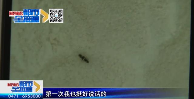 超级宝妈|虫子还在动！呼市一女子给孩子买的进口奶粉 两次出