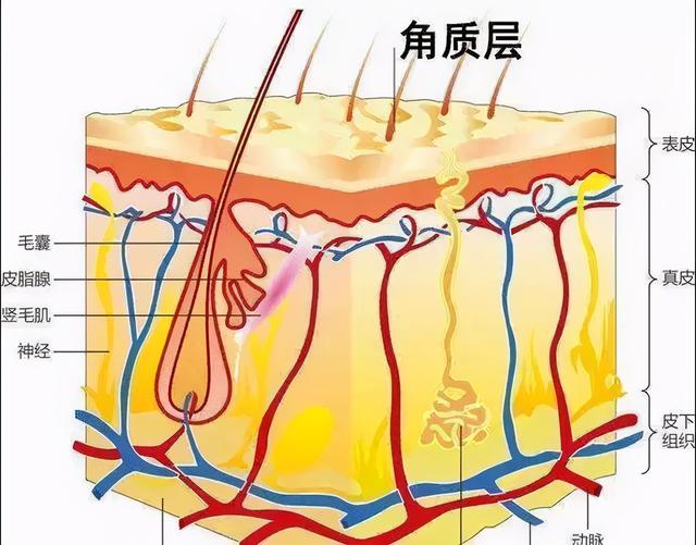 真心提醒：13%多次激光点痣者会发生癌变，你还敢随意点痣吗？