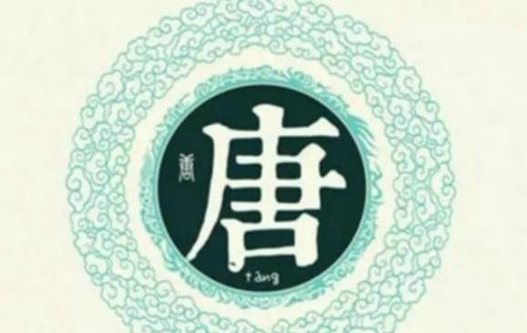 超级宝妈|爸爸姓“唐”，给双胞胎起名时加母姓，妈妈无奈：你看看我姓啥