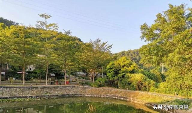 约吗旅行:广州从化有处“桃花源”,藏着最好吃的春天,百花盛宴约不?