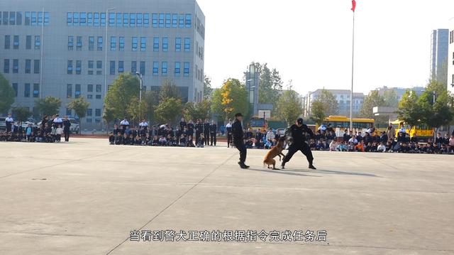 小龙人爱迪堡幼儿园开展系列社会实践活动