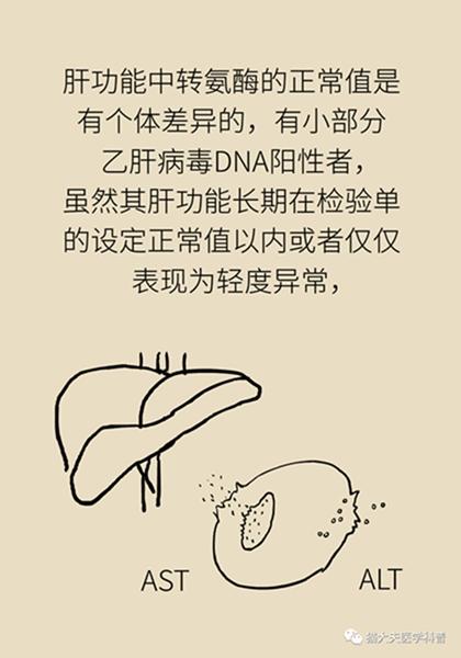 北京天坛医院|聚餐会传染乙肝？乙肝会变成肝癌？……关于乙肝的N个真相
