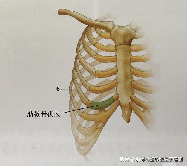 竟卧床3个月！闺蜜在外院做完肋软骨隆鼻很虚，而自己1天就下床