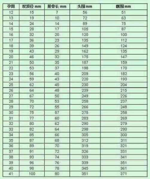 「你的育儿经」什么是双顶径？用双顶径预估胎儿的体重准确吗？这些影响孕妇须知