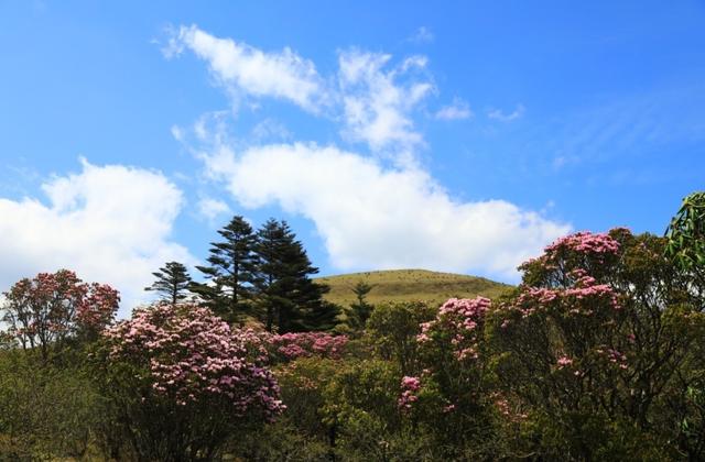 【世界那么大】走进大姚桂花镇 体味满满的原生态彝家生活