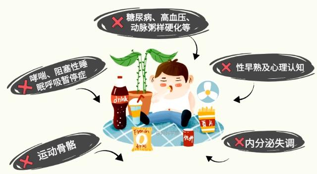 上观新闻|儿童肥胖影响成长怎么办？普陀专家帮你来“卸货”