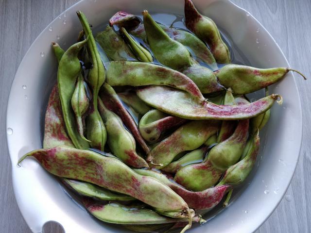 这东北菜没人不爱吃，排骨炖豆角，南方朋友认识这种豆角吗？