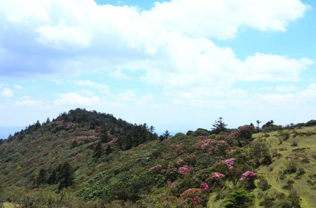 【世界那么大】走进大姚桂花镇 体味满满的原生态彝家生活