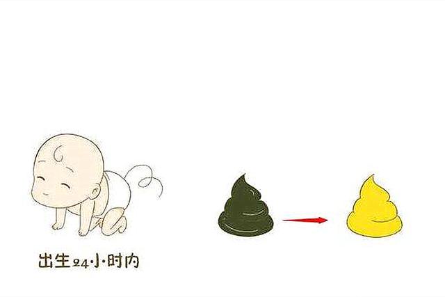 [天使宝贝]孕期胎儿的“胎便和尿液”排到哪？答案会让你哭笑不得，了解一下