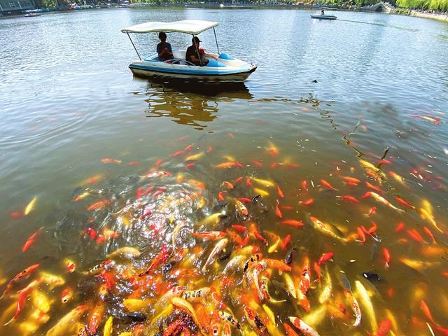 「趣旅游」太原各公园娱乐游览项目逐步开放