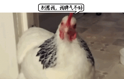 环球网|3岁娃被鸡抓了一下，伤口竟“长出”鸡趾甲！父母急坏了…