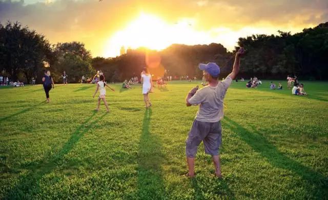 你的育儿经▲因为放风筝夫妻进了ICU