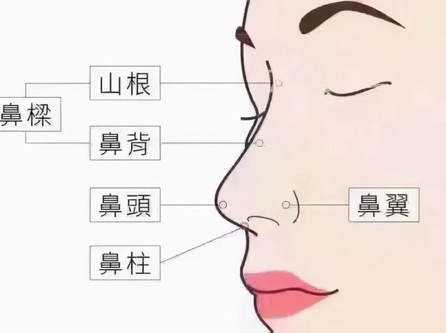 中医看你一眼，就知道你有没有病