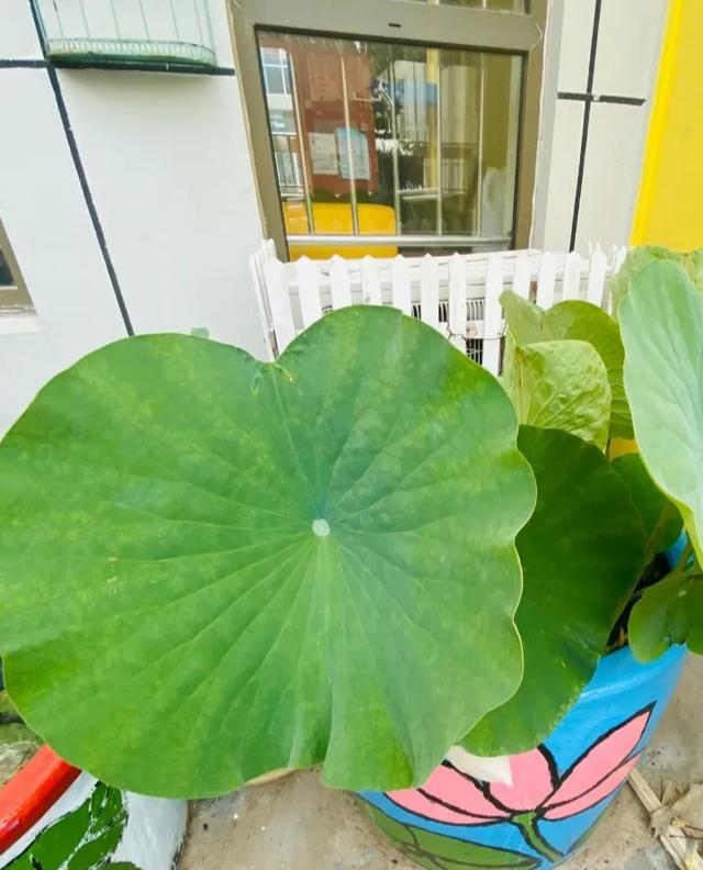 齐鲁东营资讯|开学啦 我们不见·不散