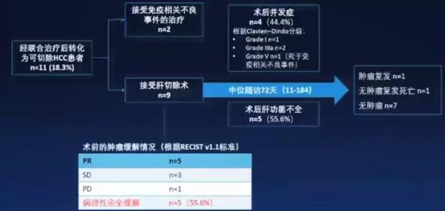肝癌怎么治疗？转化治疗是否可靠？