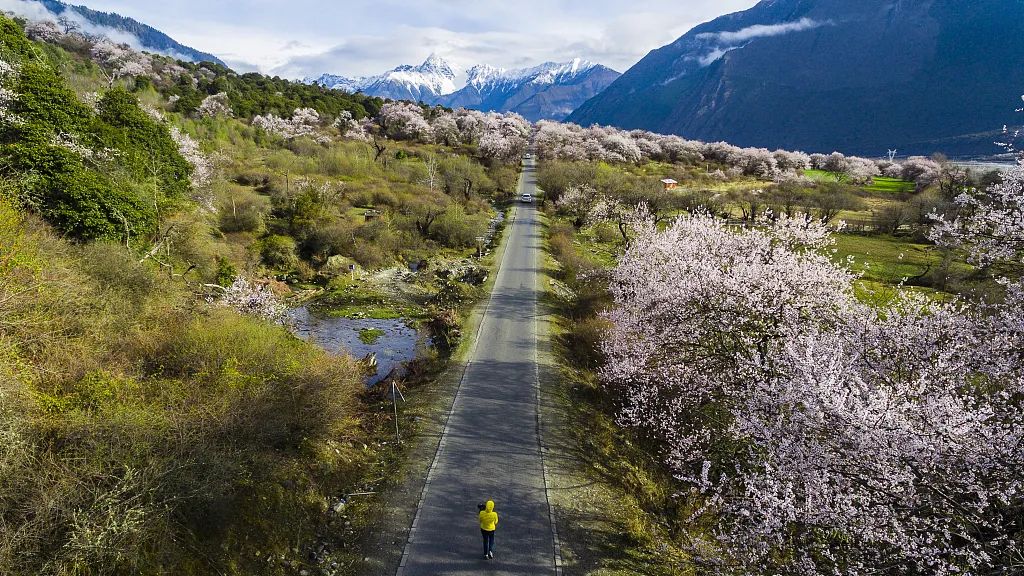 These Stunning Roads Are Perfect for Post-Pandemic Road Trips