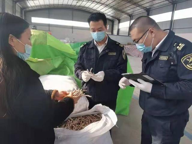 业务|2020年河南中药材出口量猛增两倍