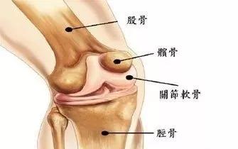 上楼腿打软，不能下蹲？膝盖前方痛？你可能是髌股关节痛综合征