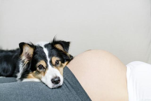 [超级宝妈]噪音、宠物…怀胎十月宝宝怕这些，准妈妈千万得避开