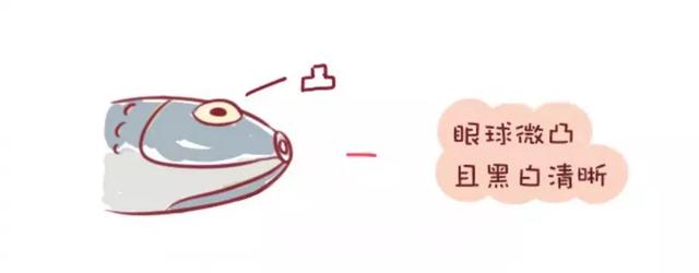 你的育儿经|不是所有的鱼吃了都能让宝宝变聪明，这几种鱼是黑名单，你知道吗