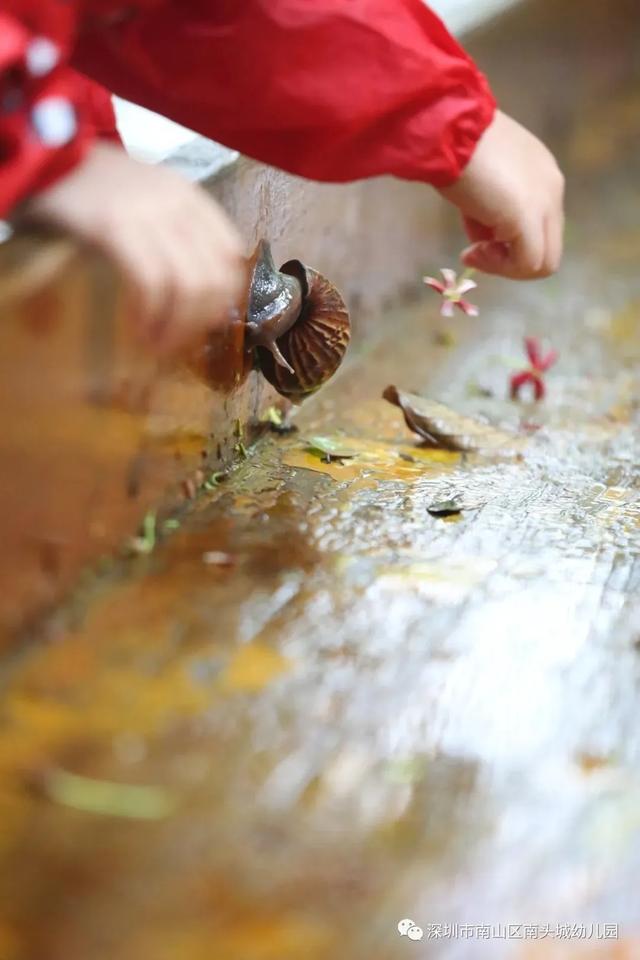 超级宝妈|谁说下雨天不能进行室外活动，这家幼儿园别出心裁做到了
