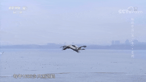 《航拍中国》第三季起航,在飞云之下找寻浪漫情怀影视交流地