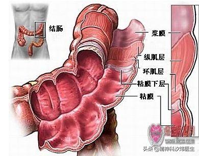 医生提醒：坚持做好这些事情，肠癌患病率至少减半