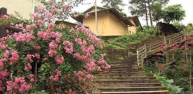 【超级宝妈】别样过假期，携手共育促成长——家乡篇