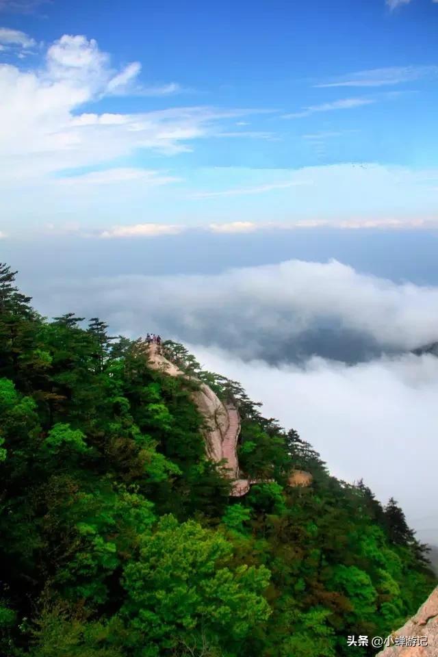 『世界那么大』金寨天堂寨-云雾缭绕、俊峰林立、群瀑飘逸华东最后一片原始森林
