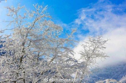 「光明网」一起看雪落神河源，感受最纯粹的美