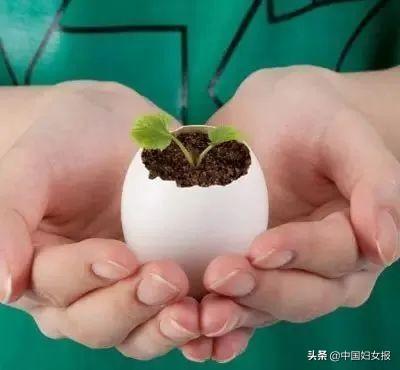 中国妇女报：特殊时期 特别家教 | 战“疫”动起来（四十一）