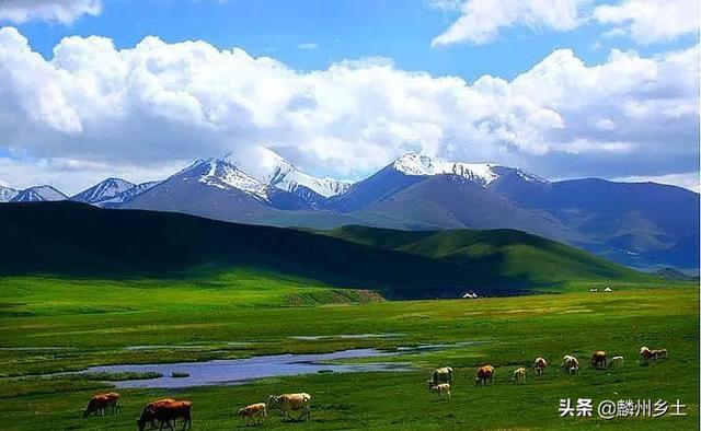 【世界那么大】全中国第二大草原，神奇的和它的名字一样特别，你知道是哪里吗？