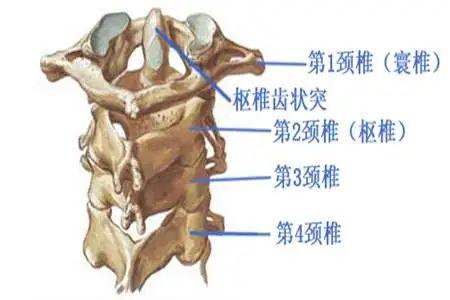 男孩“落枕”一波操作后竟差点瘫痪！孩子脖子疼，家长一定要当心