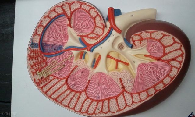 肾病患者稳定肾功能很重要，这3种准备工作要长期做好，让你肾功能稳稳的