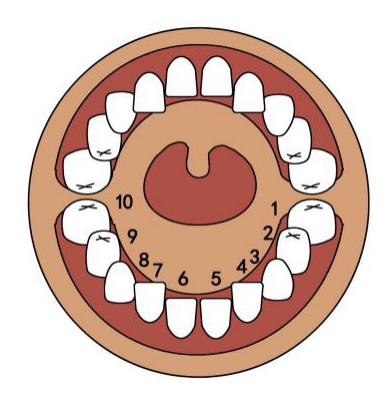 #新华网客户端#如何呵护孩子口腔健康？专家教你这样做