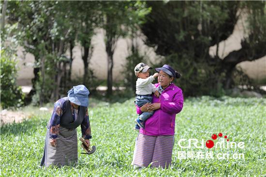 辅导员|（做客西藏人家）拉萨尼木县1245个孩子有免费早教课上