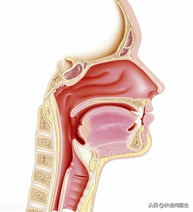为什么八成的鼻咽癌在中国？或许与这4个原因有关，早知道早预防